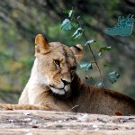 photoProtection1.php