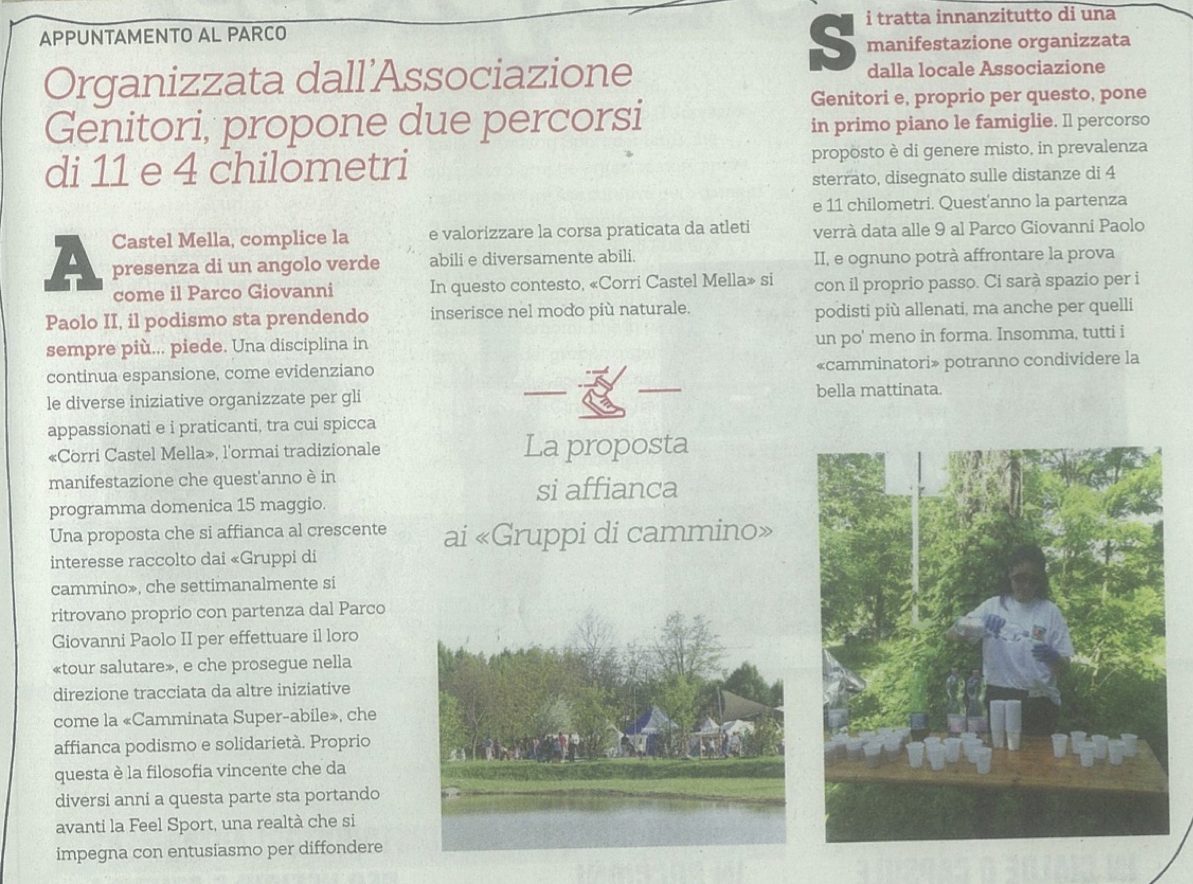 ARTICOLO
